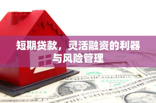 长寿短期贷款，灵活融资的利器与风险管理
