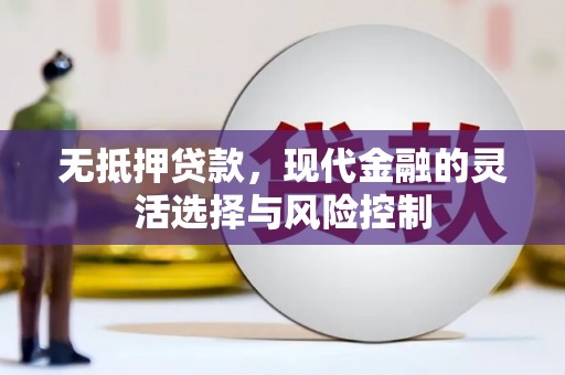 长寿无抵押贷款，现代金融的灵活选择与风险控制
