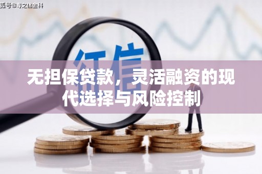 长寿无担保贷款，灵活融资的现代选择与风险控制