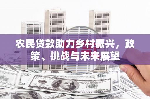 长寿农民贷款助力乡村振兴，政策、挑战与未来展望