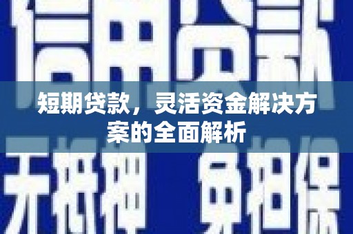 长寿短期贷款，灵活资金解决方案的全面解析