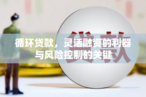 长寿循环贷款，灵活融资的利器与风险控制的关键