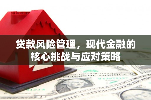 长寿贷款风险管理，现代金融的核心挑战与应对策略