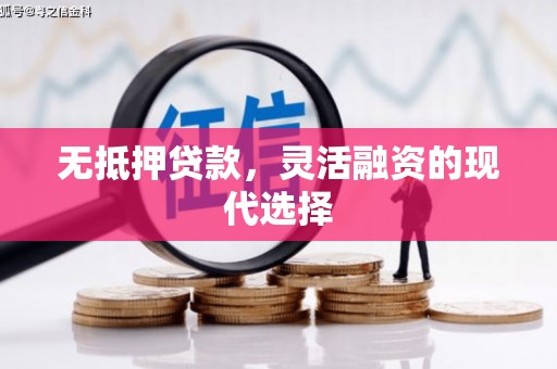 长寿无抵押贷款，灵活融资的现代选择