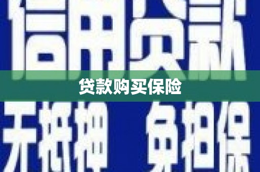 长寿贷款购买保险