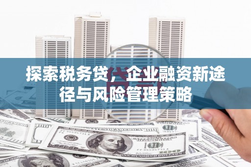 长寿探索税务贷，企业融资新途径与风险管理策略