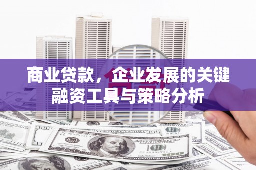 长寿商业贷款，企业发展的关键融资工具与策略分析