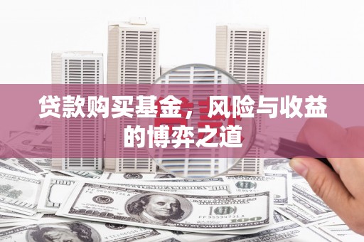 长寿贷款购买基金，风险与收益的博弈之道