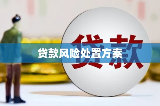 长寿贷款风险处置方案