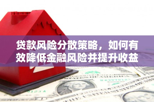 长寿贷款风险分散策略，如何有效降低金融风险并提升收益