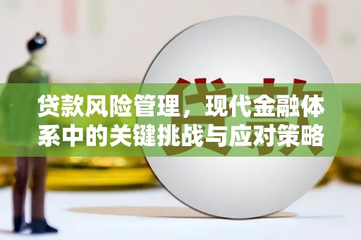 长寿贷款风险管理，现代金融体系中的关键挑战与应对策略