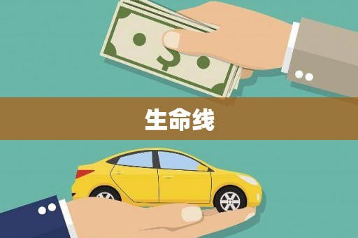 长寿生命线