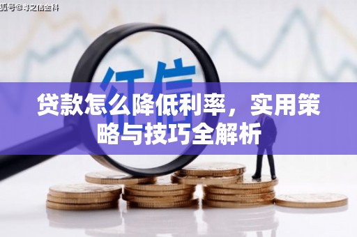 长寿贷款怎么降低利率，实用策略与技巧全解析