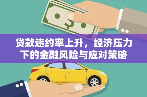 长寿贷款违约率上升，经济压力下的金融风险与应对策略