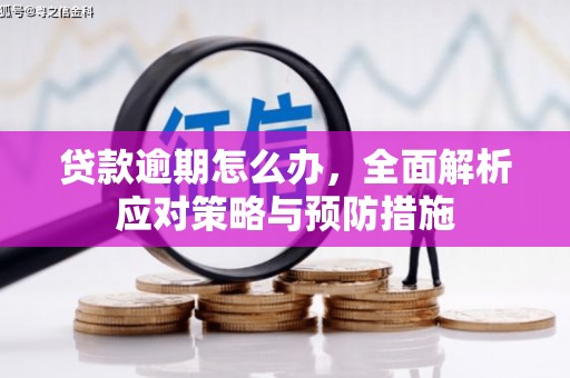 长寿贷款逾期怎么办，全面解析应对策略与预防措施