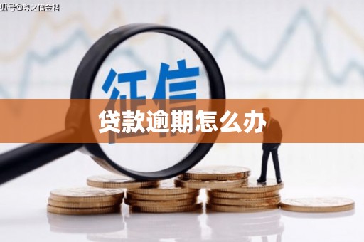 长寿贷款逾期怎么办