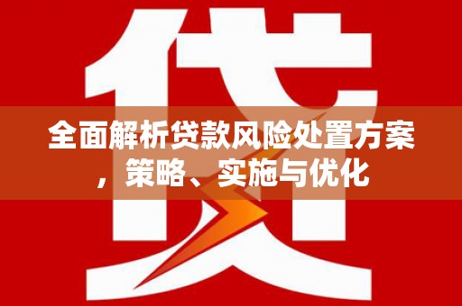 长寿全面解析贷款风险处置方案，策略、实施与优化
