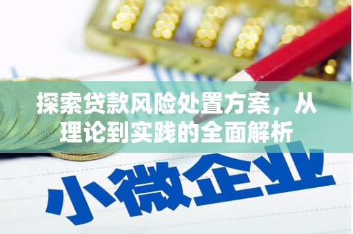 长寿探索贷款风险处置方案，从理论到实践的全面解析