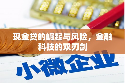 长寿现金贷的崛起与风险，金融科技的双刃剑
