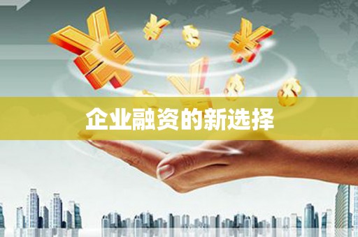 长寿企业融资的新选择