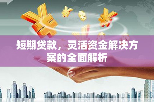长寿短期贷款，灵活资金解决方案的全面解析