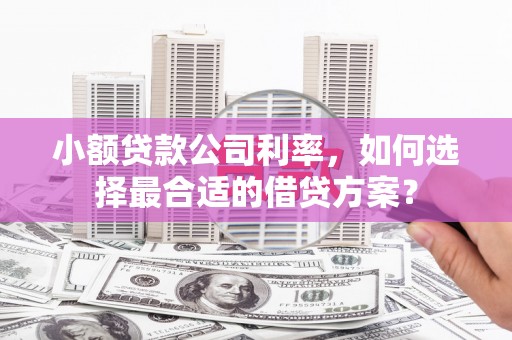 长寿小额贷款公司利率，如何选择最合适的借贷方案？