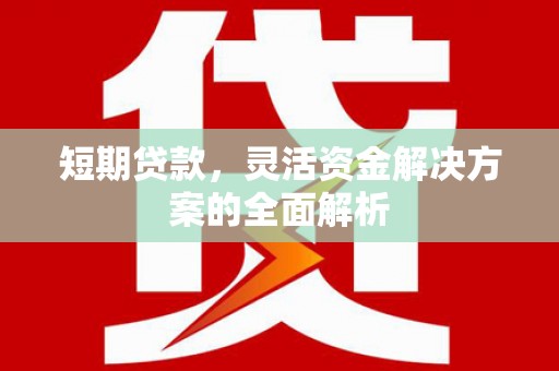 长寿短期贷款，灵活资金解决方案的全面解析