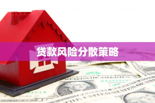 长寿贷款风险分散策略