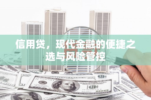 长寿信用贷，现代金融的便捷之选与风险管控