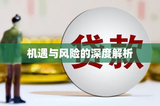 长寿机遇与风险的深度解析