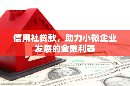 长寿信用社贷款，助力小微企业发展的金融利器