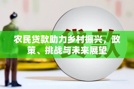 长寿农民贷款助力乡村振兴，政策、挑战与未来展望