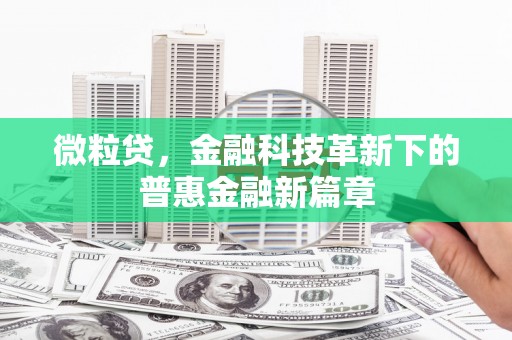 长寿微粒贷，金融科技革新下的普惠金融新篇章