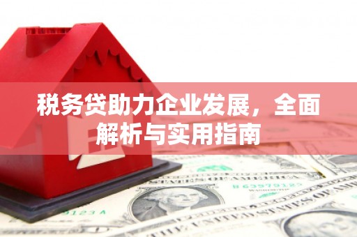 长寿税务贷助力企业发展，全面解析与实用指南