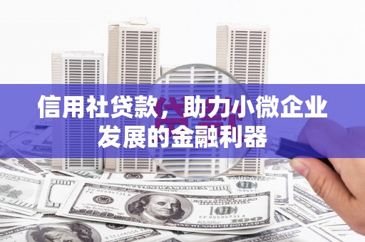 长寿信用社贷款，助力小微企业发展的金融利器