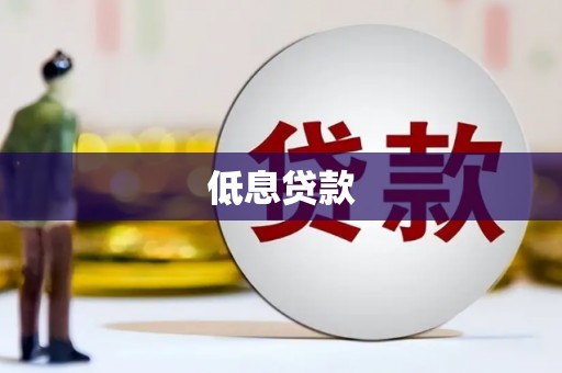 长寿低息贷款