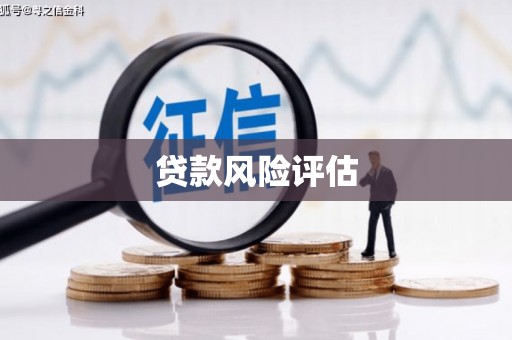 长寿贷款风险评估