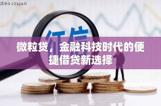 长寿微粒贷，金融科技时代的便捷借贷新选择