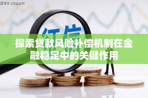 长寿探索贷款风险补偿机制在金融稳定中的关键作用