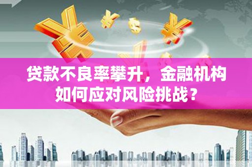 长寿贷款不良率攀升，金融机构如何应对风险挑战？