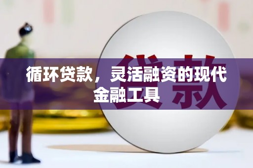 长寿循环贷款，灵活融资的现代金融工具