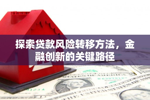 长寿探索贷款风险转移方法，金融创新的关键路径