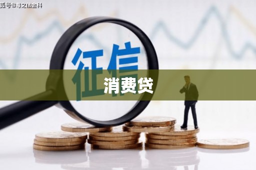 长寿消费贷