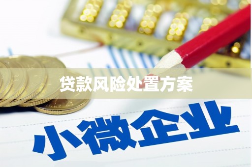 长寿贷款风险处置方案