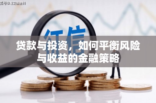 长寿贷款与投资，如何平衡风险与收益的金融策略