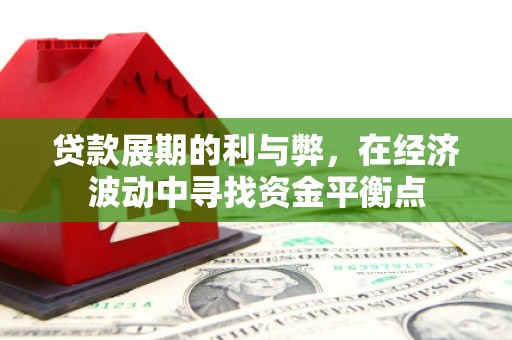 长寿贷款展期的利与弊，在经济波动中寻找资金平衡点