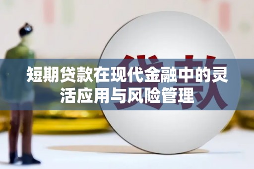 长寿短期贷款在现代金融中的灵活应用与风险管理