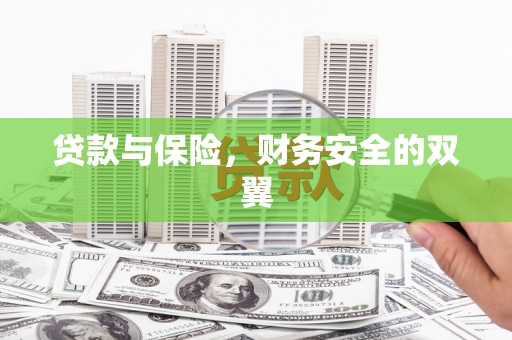 长寿贷款与保险，财务安全的双翼