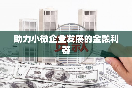 长寿助力小微企业发展的金融利器