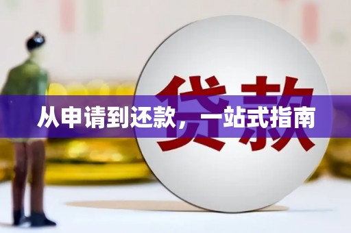 长寿从申请到还款，一站式指南